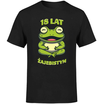 18 lat żajebistym Koszulka męska prezent
