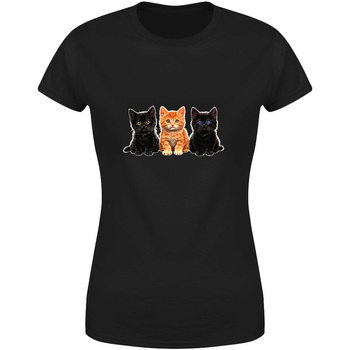 Koty Koszulka damska prezent