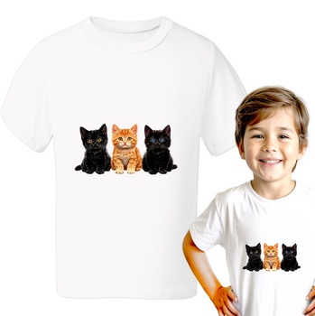 Koty Koszulka chłopięca dziecięca prezent